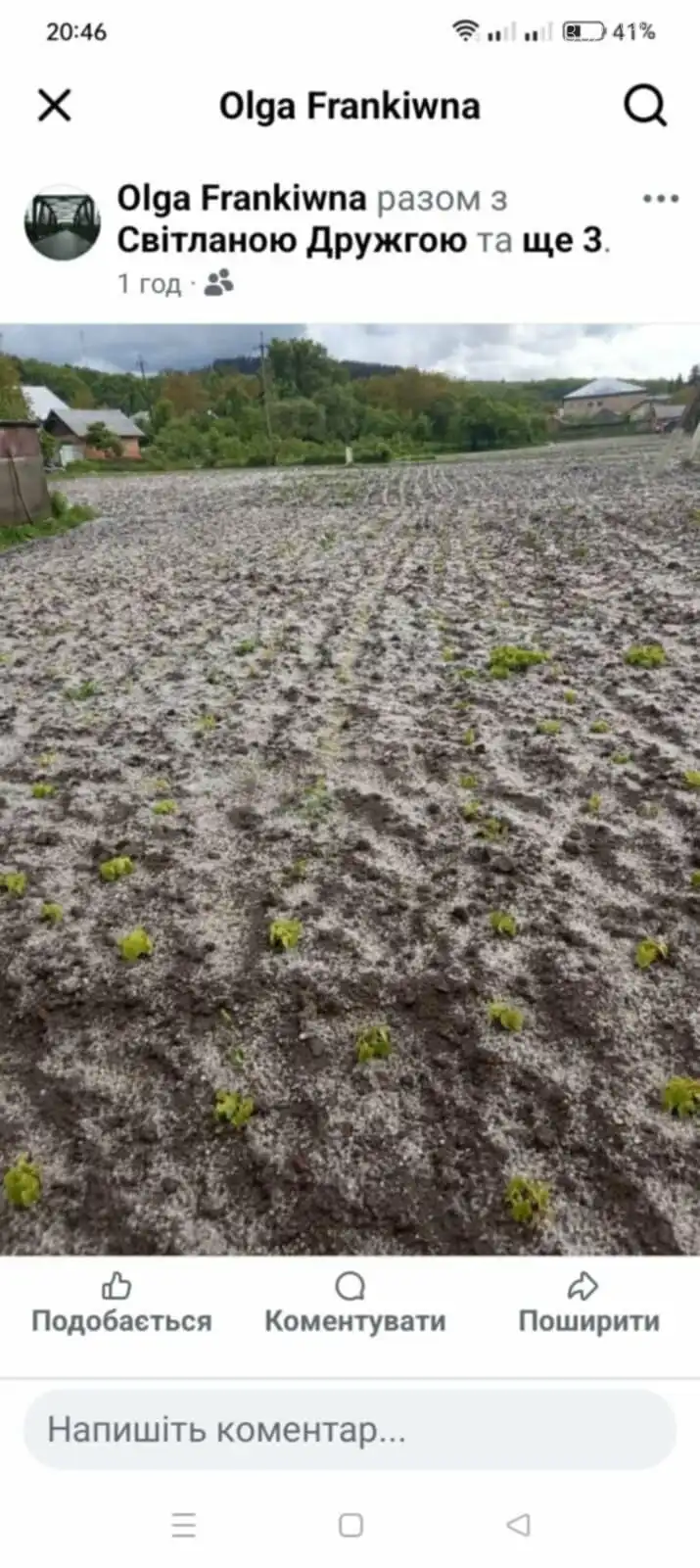 Градопад у Комарівці: негода побила врожай на Тернопільщині Градопад у Комарівці: негода побила врожай на Тернопільщині